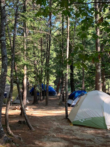 Wilderness Tent Site-1